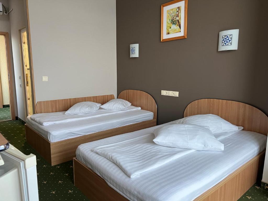Postel nebo postele na pokoji v ubytování Vila Crinul