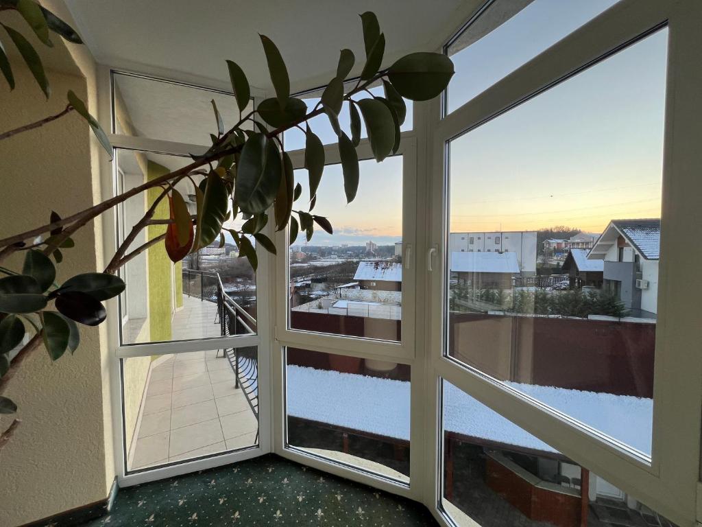 Balkón nebo terasa v ubytování Vila Crinul