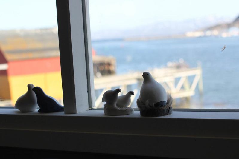 Příroda nedaleko hotelu