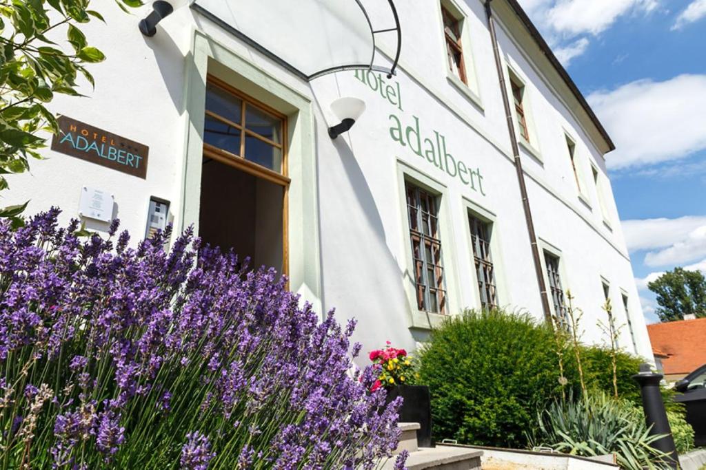 Adalbert Ecohotel - Resim 3