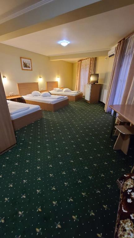 Postel nebo postele na pokoji v ubytování Vila Crinul