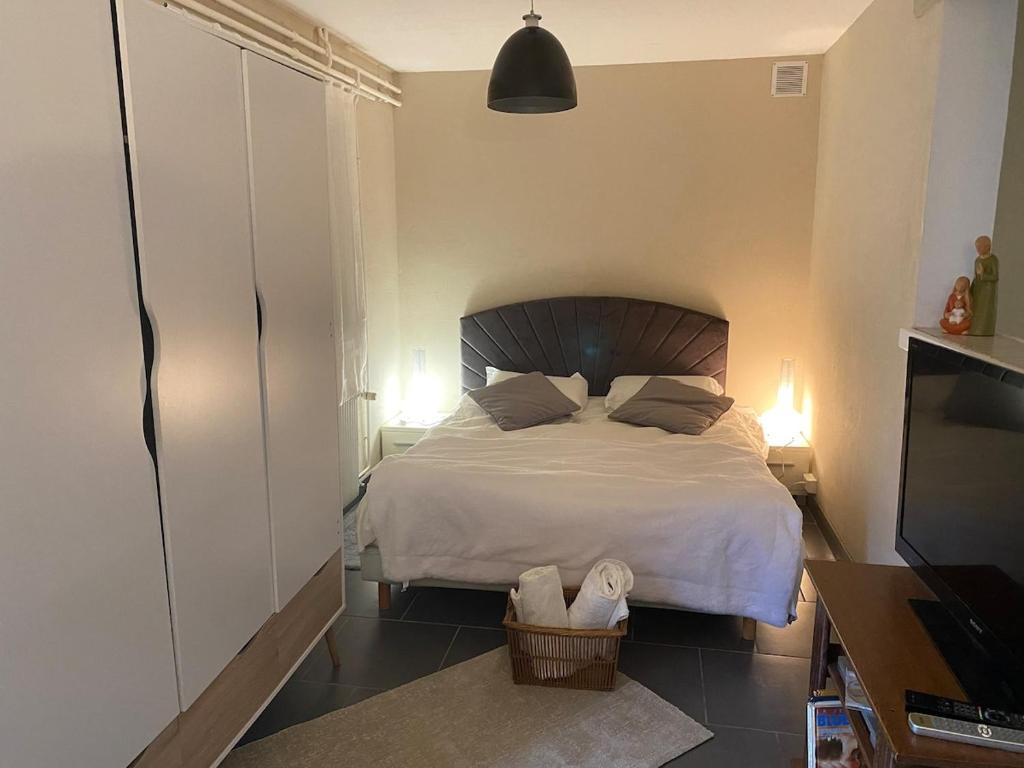 a bedroom with a large bed and a television at La rencontre in Ars-sur-Formans