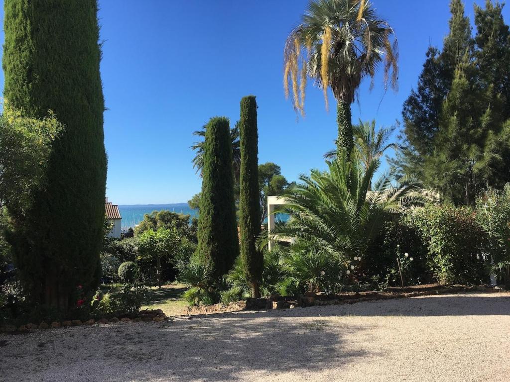 un groupe d'arbres et de palmiers dans un parc dans l'établissement Apartment in a historic villa, à Saint-Raphaël