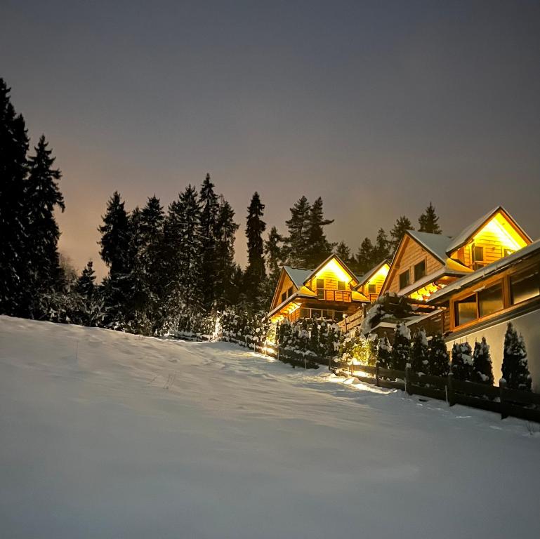 a house with lights in the snow at night at Dom na Zielonym Wzgórzu z własną Sauną i Jacuzzi in Łapsze Niżne