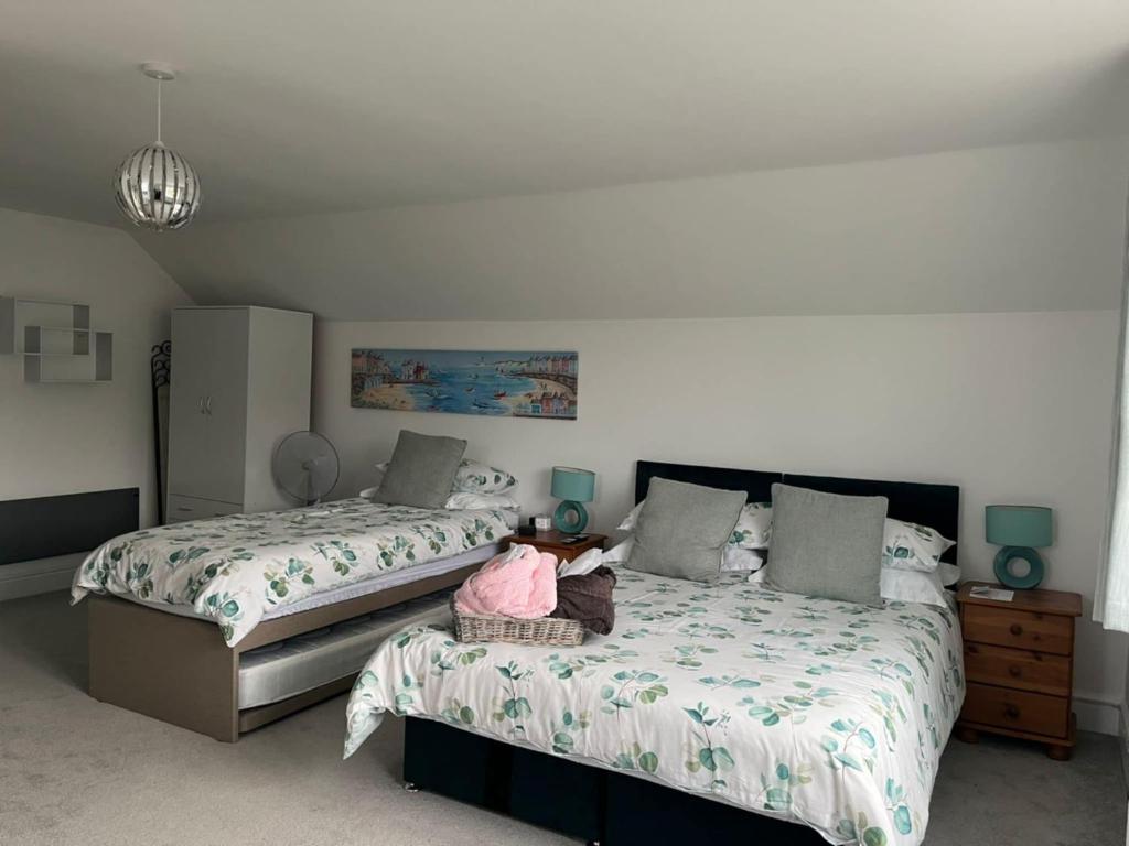 a bedroom with two twin beds and a dresser at Elysian Fields B&B in Helston