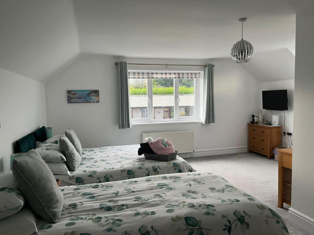 a bedroom with two beds and a couch and a window at Elysian Fields B&B in Helston