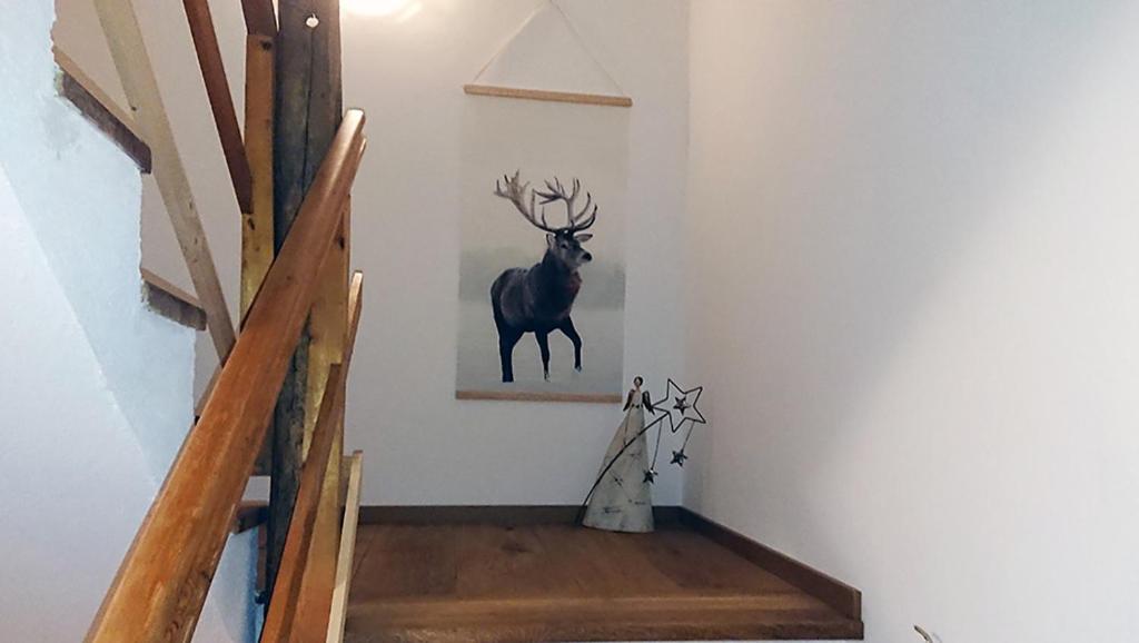 Fotografie z fotogalerie ubytování Genuss.Haus.Fankhauser na Tuxu