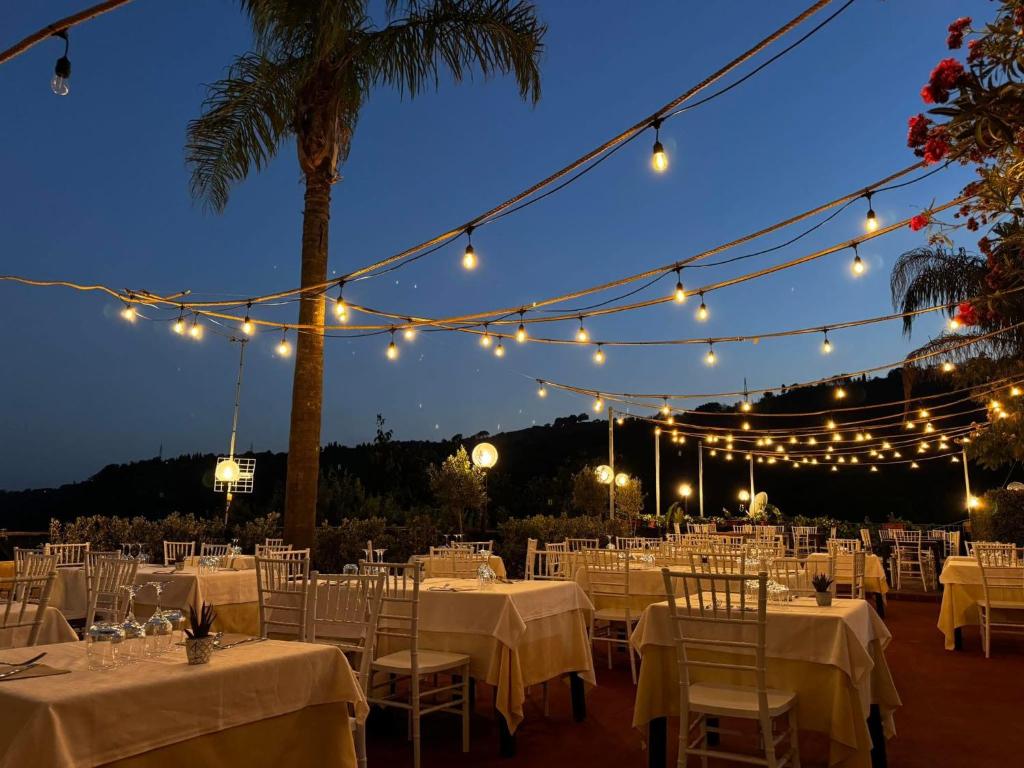 Il noceto dell'Etna - 6