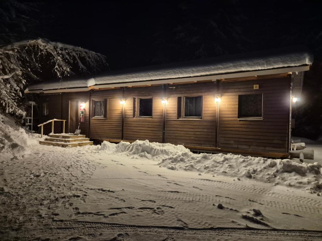 Trevligt lantligt boende i skogen v zimě