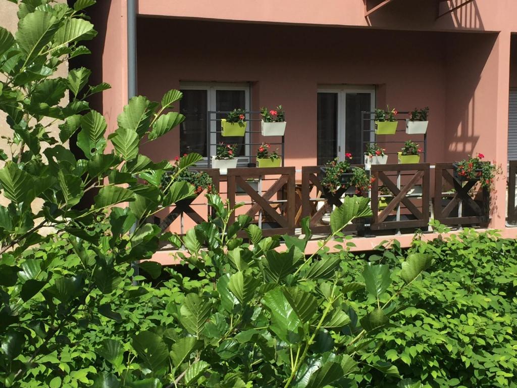 KAYSERSBERG - Downtown - Balcony and Parking – photo 13
