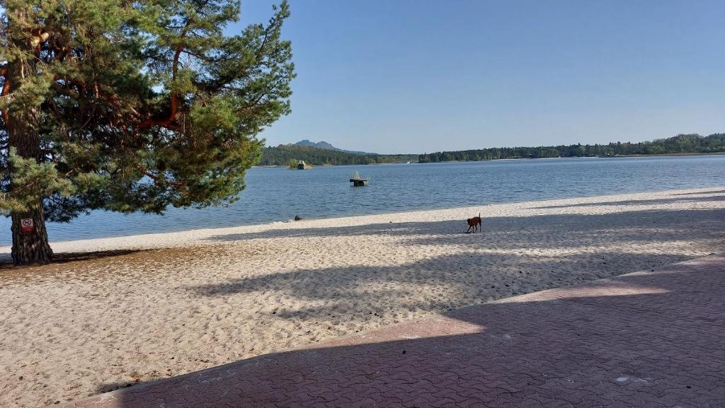 Příroda nedaleko aparthotelu