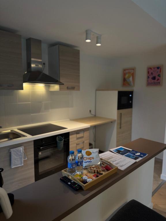 Kuchyň nebo kuchyňský kout v ubytování Skyway airport apartments