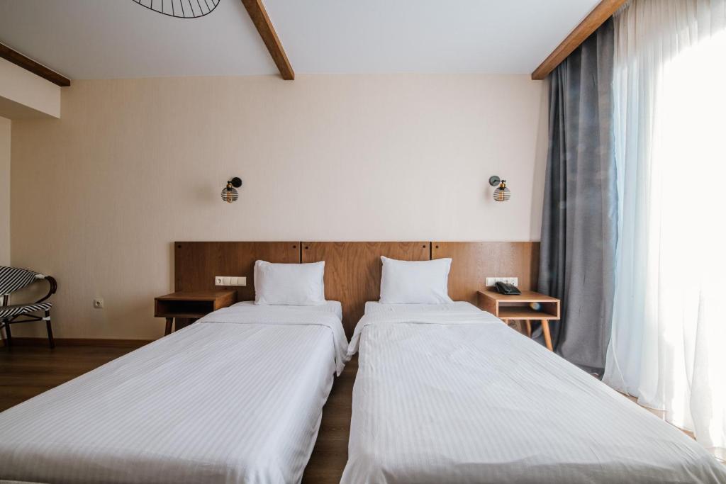 Gudauri Inn - Large Double Or Twin Room