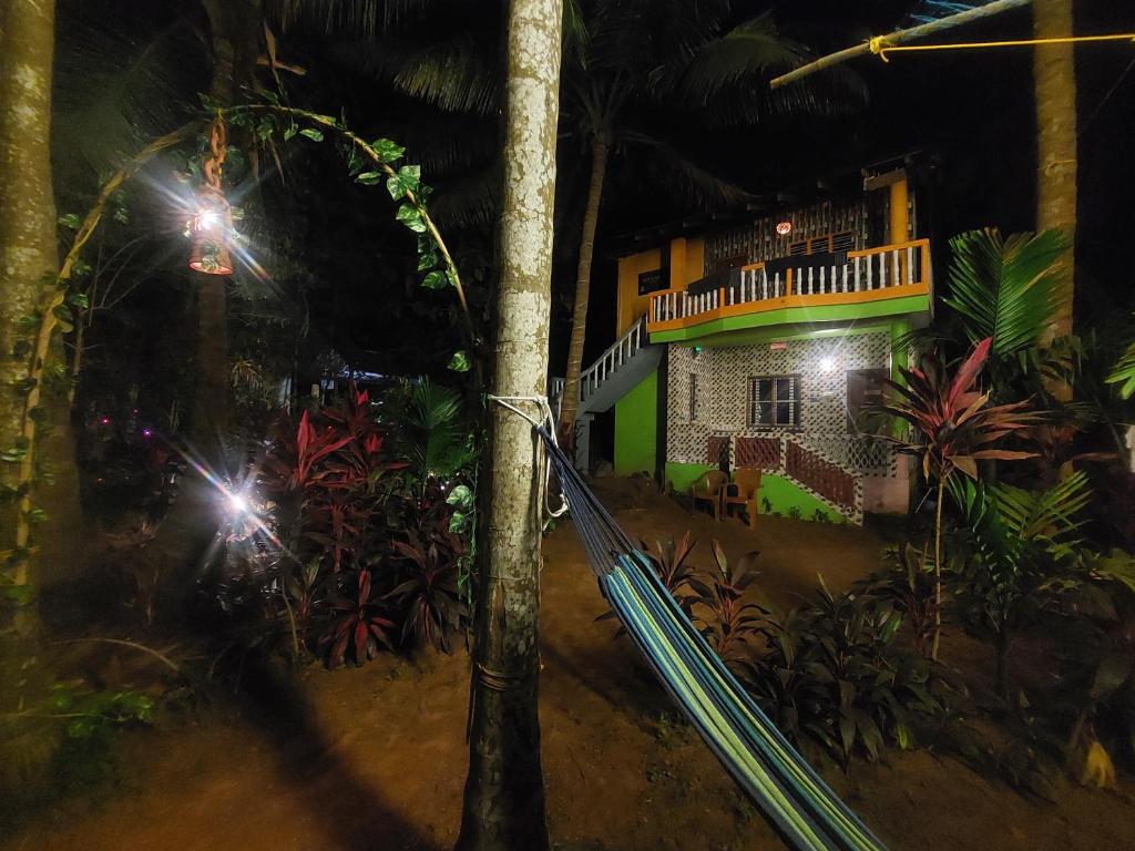 Zahrada ubytování Areca Nest