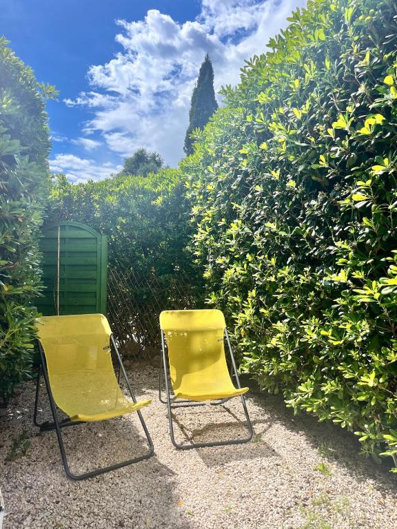deux chaises jaunes assises devant quelques buissons dans l'établissement Studio climatisé avec entrée privée- 5 min des plages, sur les hauteurs de Cavalaire, à Cavalaire-sur-Mer