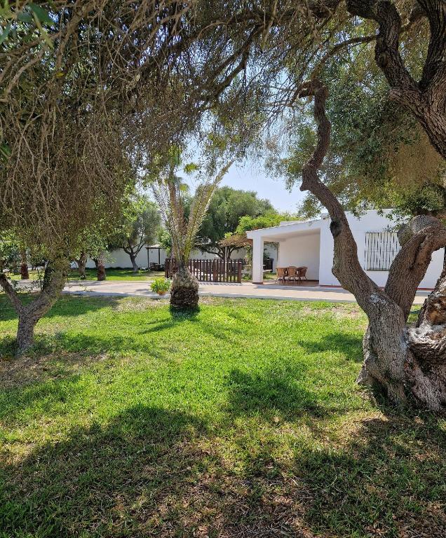 Vonkajšia záhrada v ubytovaní Las Casas de Las Flores