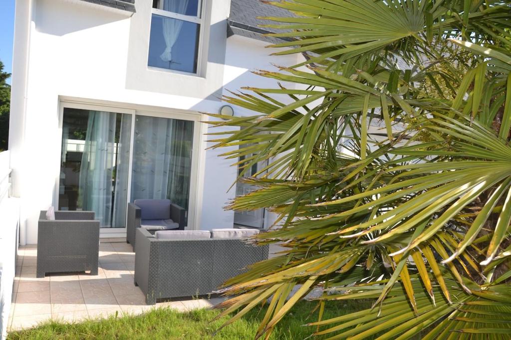 a palm tree in front of a building at Jolie maison cosy proche plage & cité de la voile in Larmor-Plage