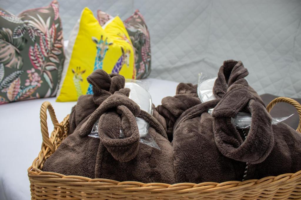 Fotografie z fotogalerie ubytování The Cacoon Tsitsikamma v destinaci Stormsriviermond