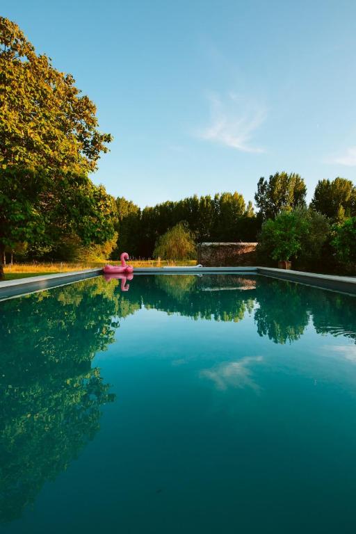 a swimming pool with a pink object in the water at Château Chevreuil in Fresnay-en-Retz