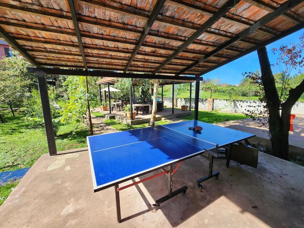 Stolní tenis v ubytování Davids villa nebo okolí