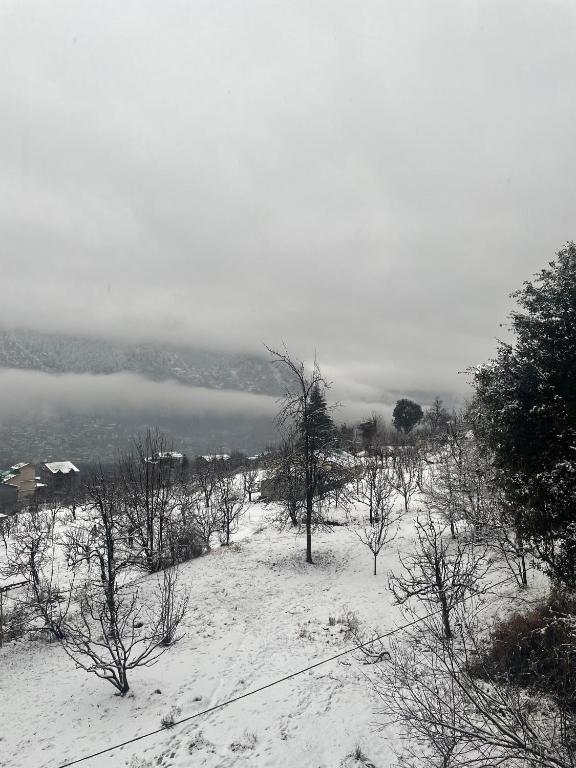 Hotel Cherry Manali v zimě
