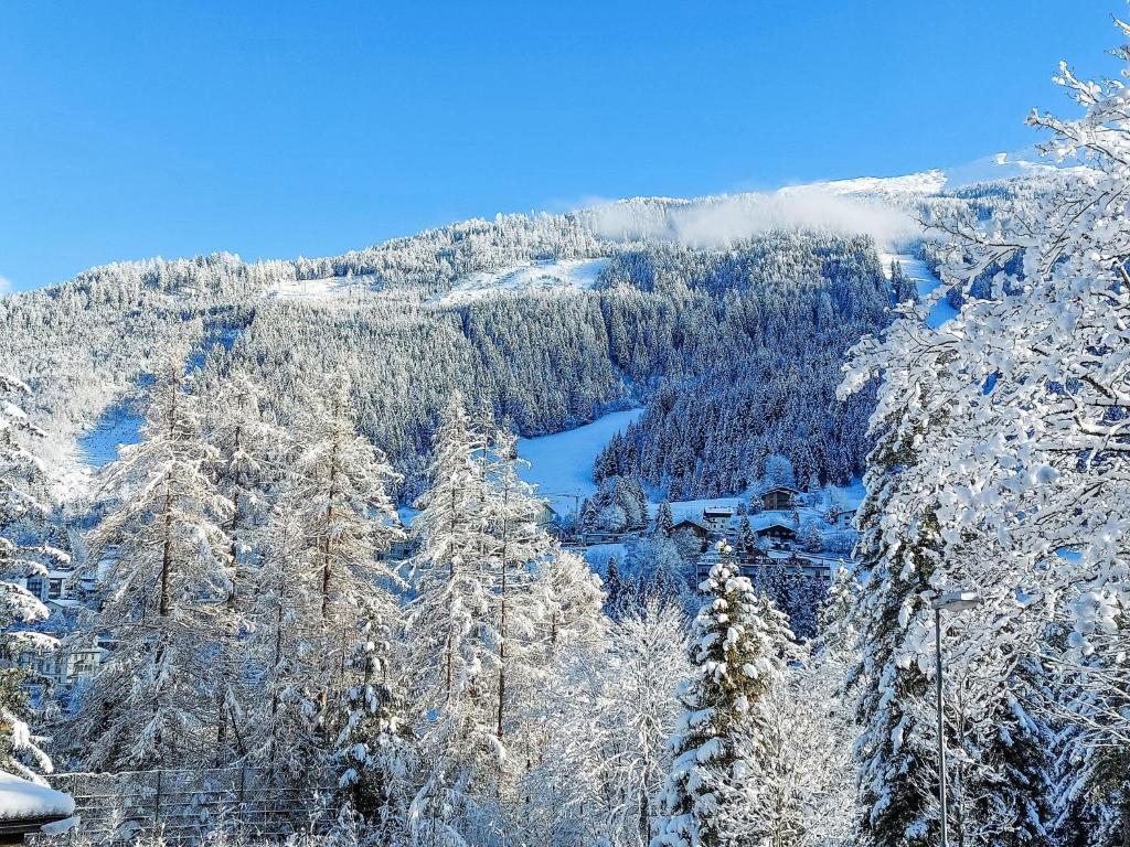 Príroda v okolí apartmánu