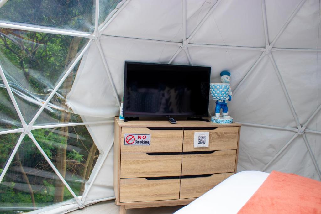 TV a/nebo společenská místnost v ubytování The Forest Dome Tsitsikamma