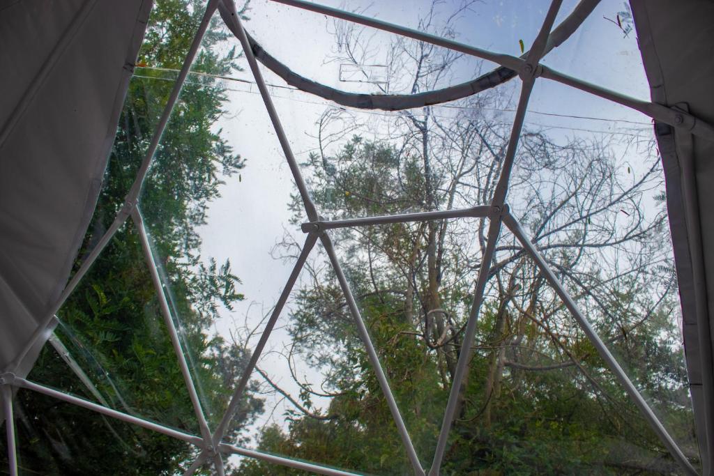 Fotografie z fotogalerie ubytování The Forest Dome Tsitsikamma v destinaci Stormsriviermond