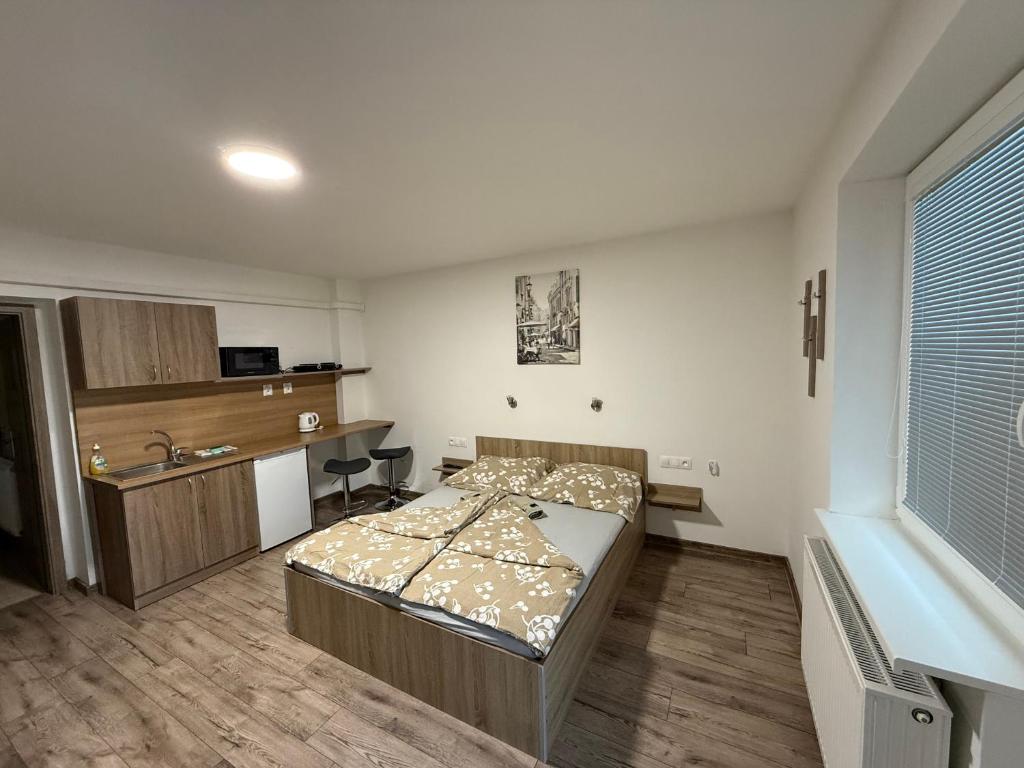 Kuchyň nebo kuchyňský kout v ubytování Apartmán Tereza