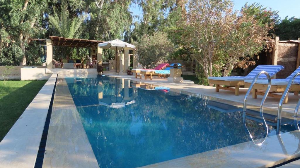 a swimming pool with two chairs and an umbrella at Ohana retreat guest house in Tunis