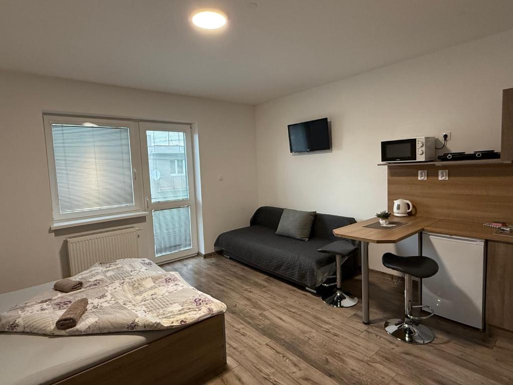 TV a/nebo společenská místnost v ubytování Apartmán Tereza