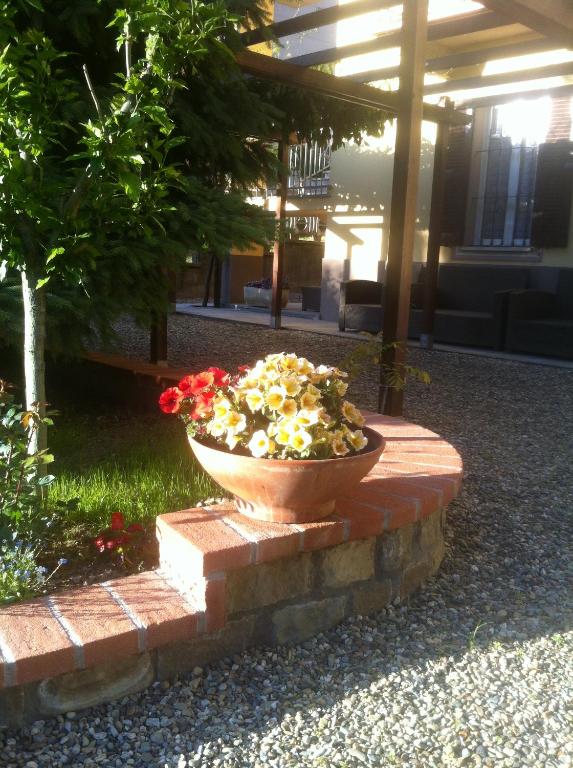 Zahrada ubytování B&B Cantine Pietronero