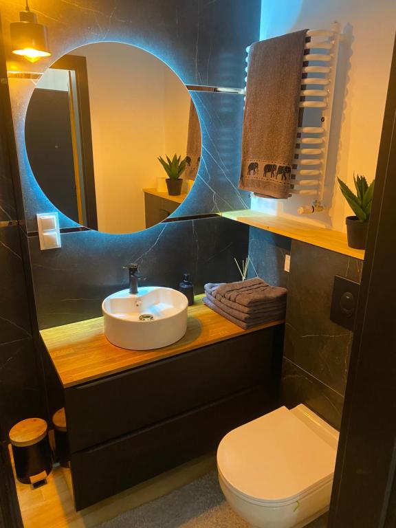 Un baño con lavabo, inodoro y espejo. en Sowa, en Lipno