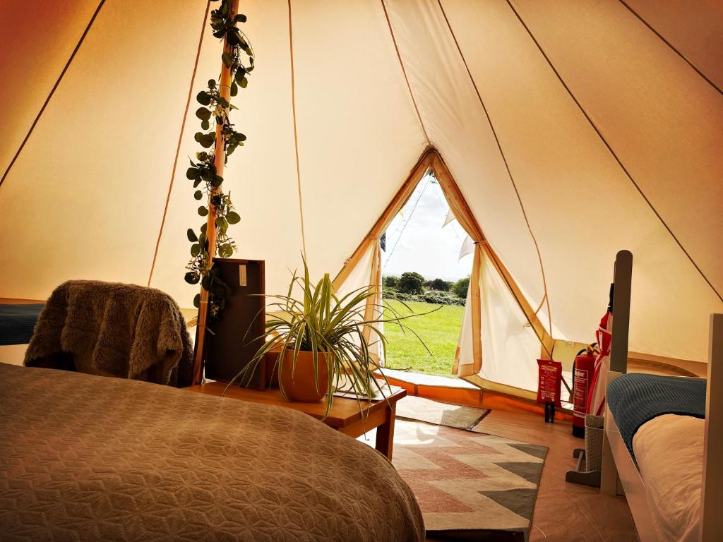 ein Zelt mit einem Bett und einer Pflanze in einem Zimmer in der Unterkunft Trevena Cross Glamping & Camping in Helston