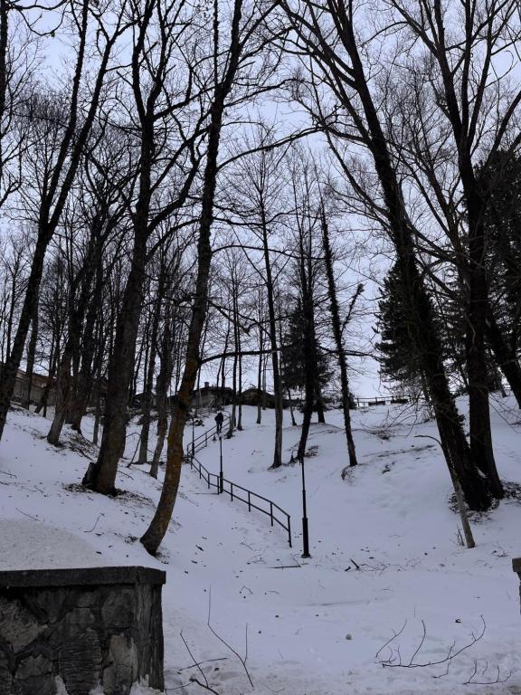 Residenza Fonticella durante l'inverno