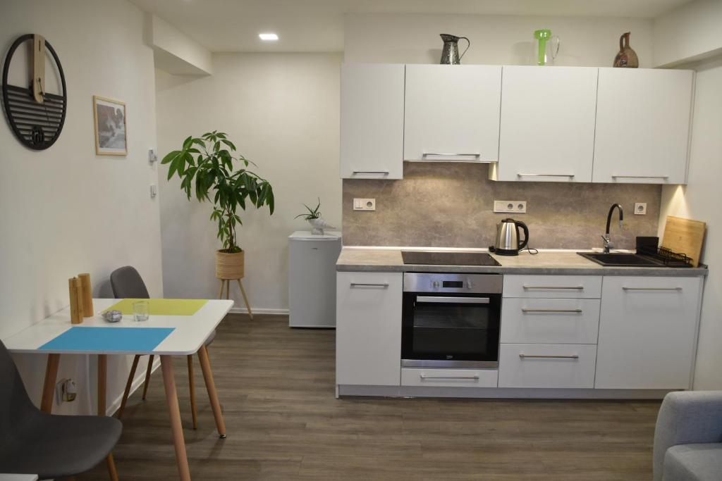 Kuchyň nebo kuchyňský kout v ubytování Apartmán Dva na moto