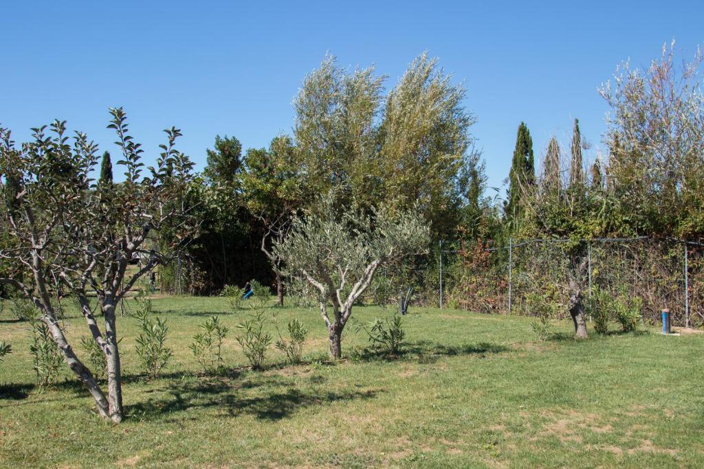 Zahrada ubytování Agricampeggio Ippocampo