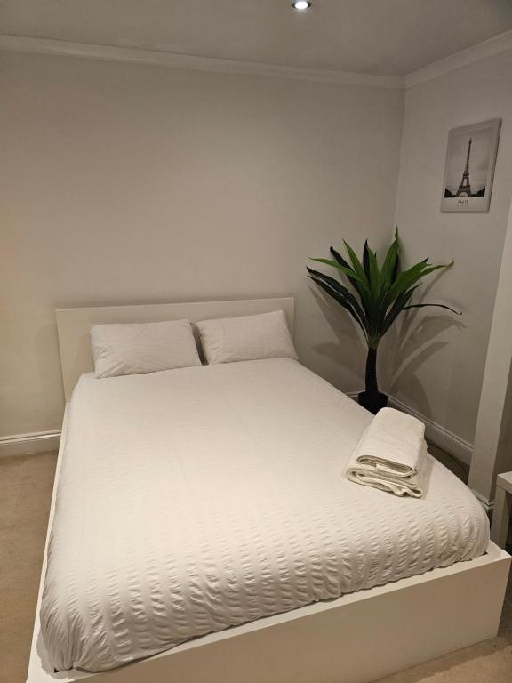 a white bed in a room with a plant at Mirandas Place in Gillingham