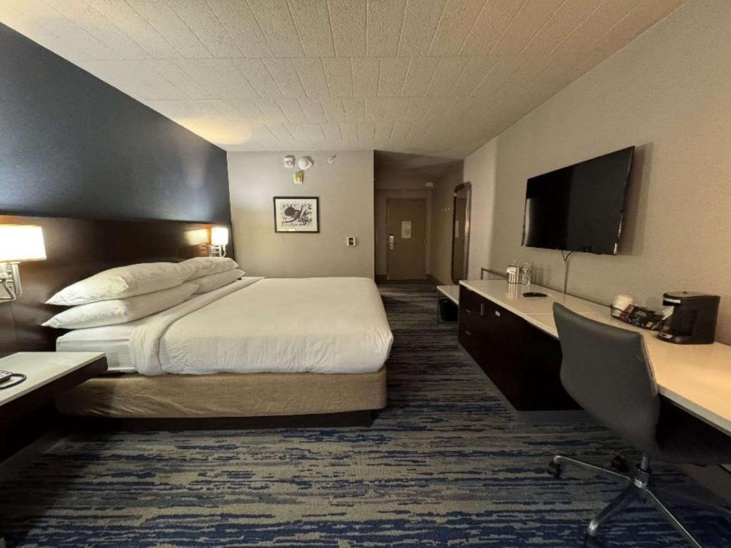 Skyline Hotel Detroit Airport, SureStay Collection by Best Western - King Room With Roll-In Shower - Disability Access