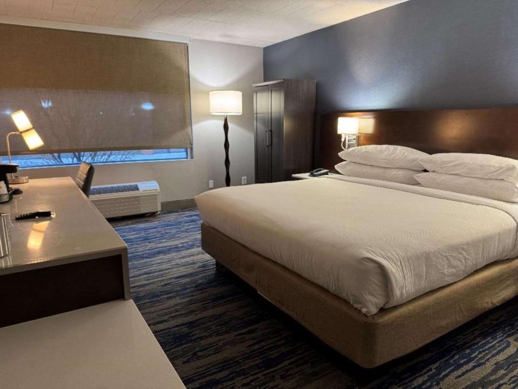 Skyline Hotel Detroit Airport, SureStay Collection by Best Western - King Room - Acceso A Discapacitados/no Fumar