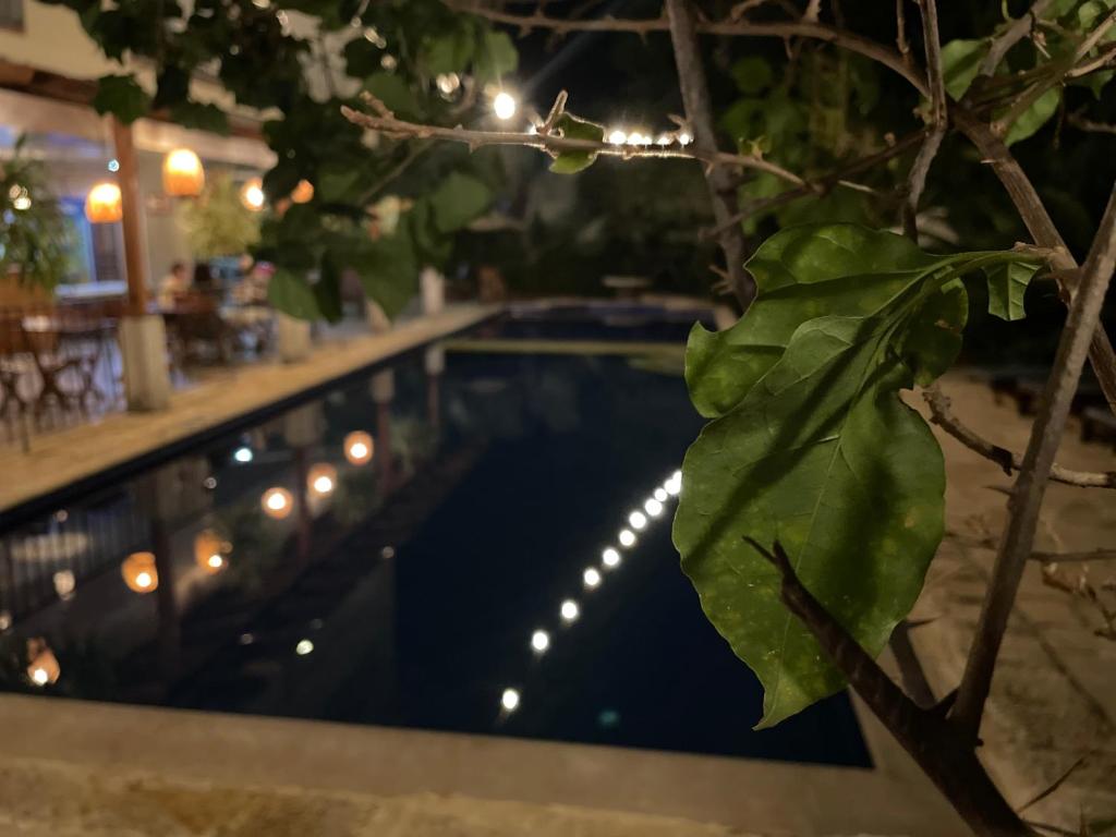 Bazén v ubytování Hotel el Ancla Campestre nebo v jeho okolí