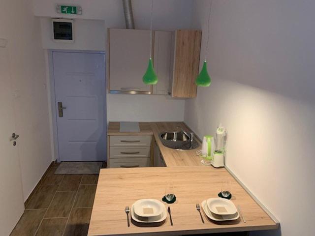 Kuchyňa alebo kuchynka v ubytovaní Studio apartment in center of Zagreb "Vidra"