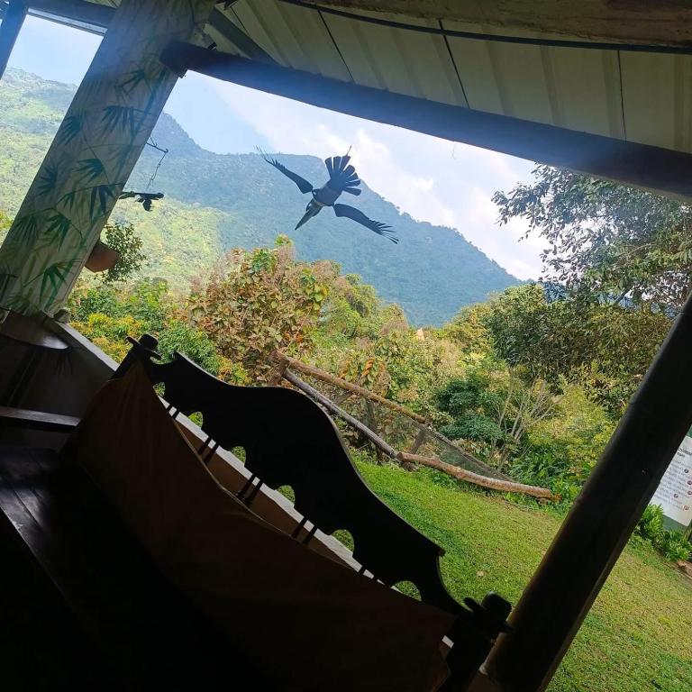 a window with a bird flying in the sky at Dunarinka in Minca