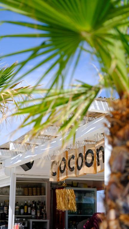 Certifikát, hodnocení, plakát nebo jiný dokument vystavený v ubytování Cocoon Hotel-Beach bar