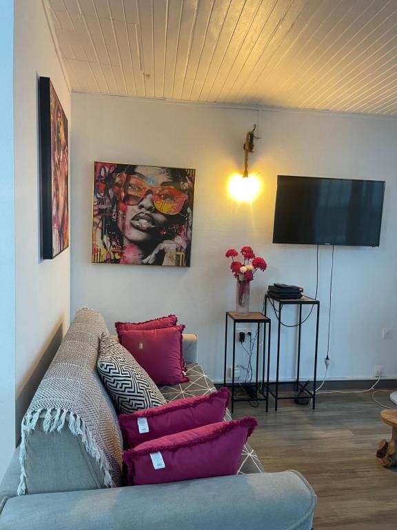 TV a/nebo společenská místnost v ubytování PENTHOUSE 10 MIN port croisière et aéroport