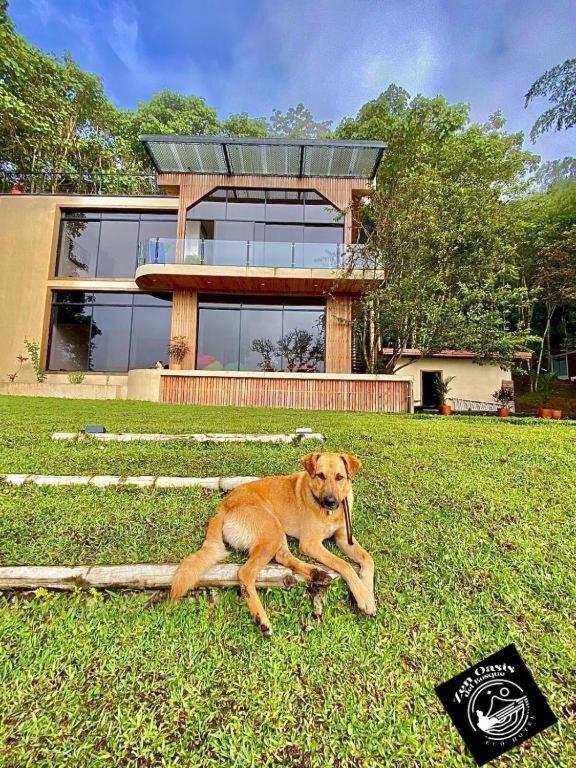 Domácí mazlíčci ubytovaní s hosty v ubytování Casa Fénix zen oasis del bosque 2