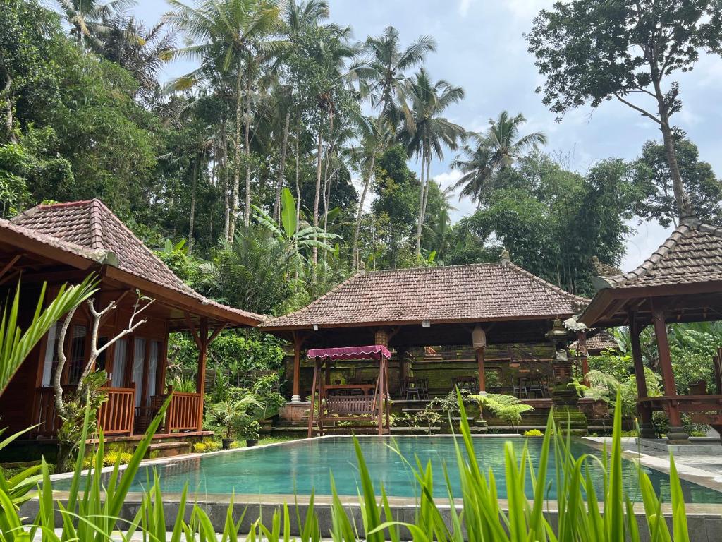 La alberca dentro o cerca de Pondok Manca