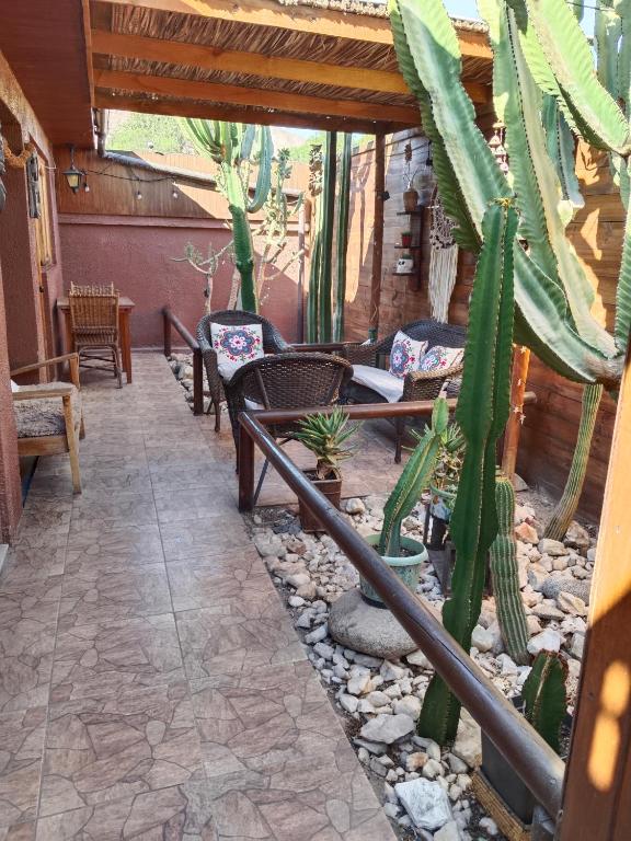 Fotografie z fotogalerie ubytování Hostal Cactus Copiapo v destinaci Copiapó