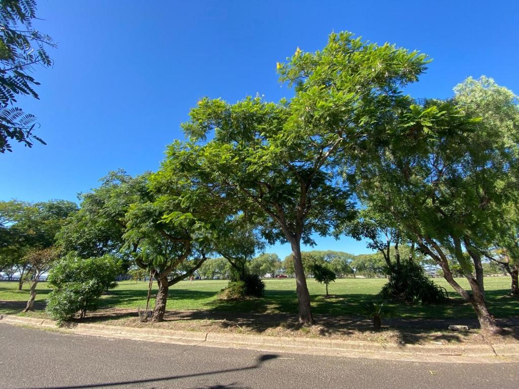 a group of trees on the side of a road at Departamento Paulina,Ubicado en lugar privilegiado de la Ciudad in Federación