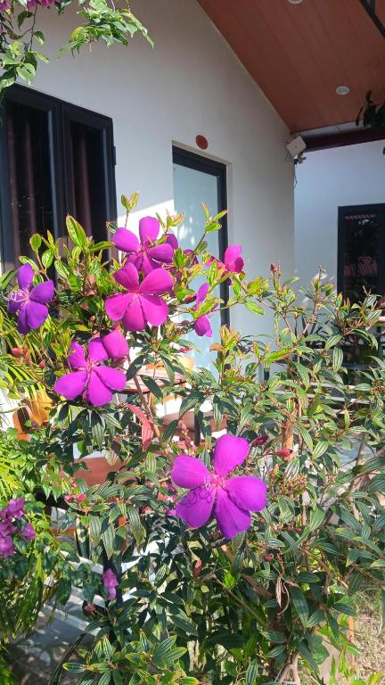 Tran Chau Garden Home - 19